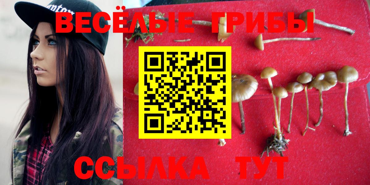 Крымск  Псилоцибиновые грибы Cubensis  Вход с VPN 